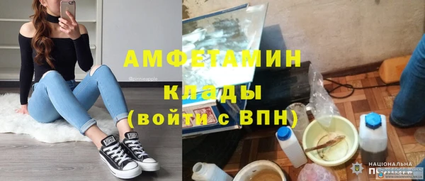 дмт Бородино