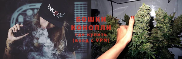 дмт Бородино