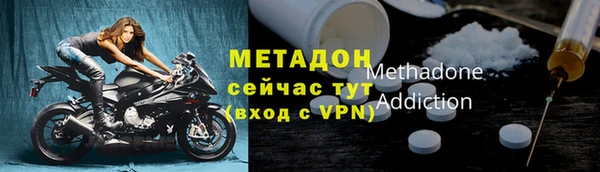 дмт Бородино