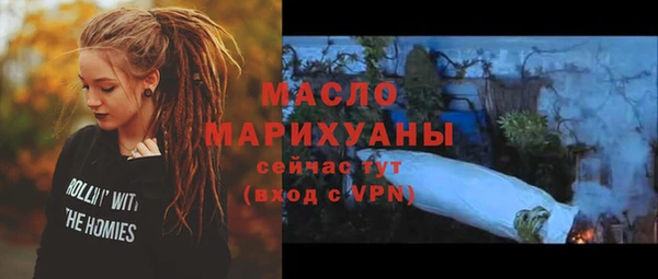 дмт Бородино
