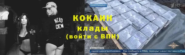 дмт Бородино