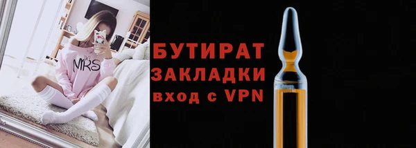 дмт Бородино