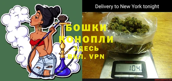дмт Бородино