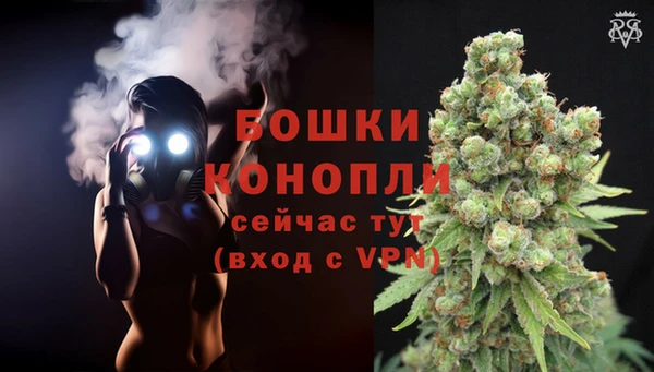 дмт Бородино