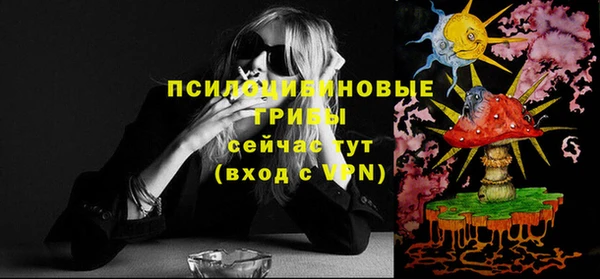 apvp Бугульма