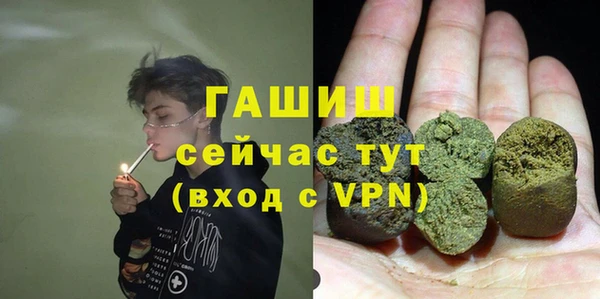 дмт Бородино