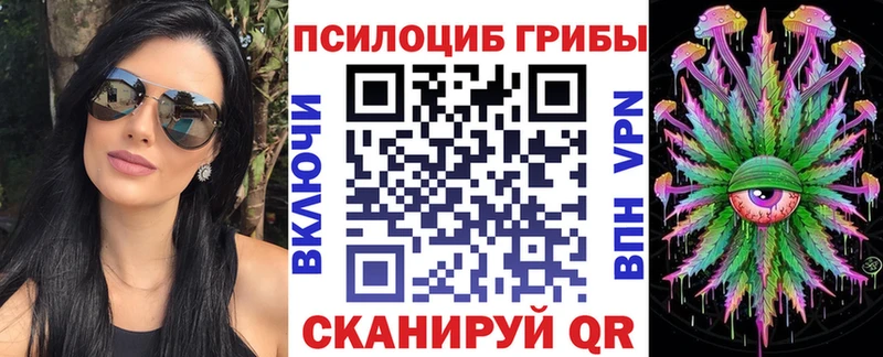 Купить где  Тавда  Псилоцибиновые грибы GOLDEN TEACHER 